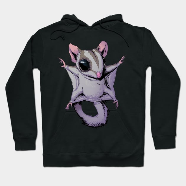 Cute Flying Sugar Glider Gift For Kids and Sugar Glider Lovers Hoodie by Hutchew